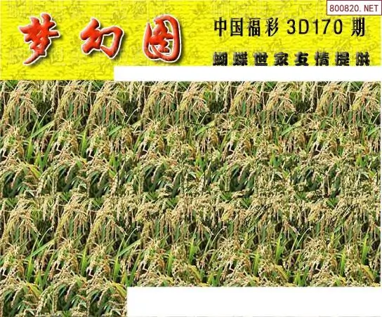 25170期: 3D蝴蝶世家蝴蝶彩图