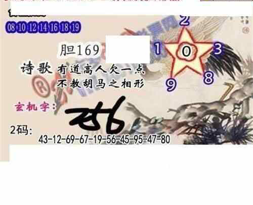 24114期: 白老3D杀码图版