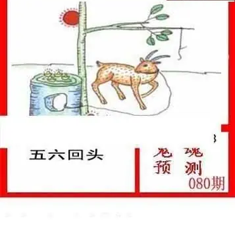 26080期: 白老3D杀码图版