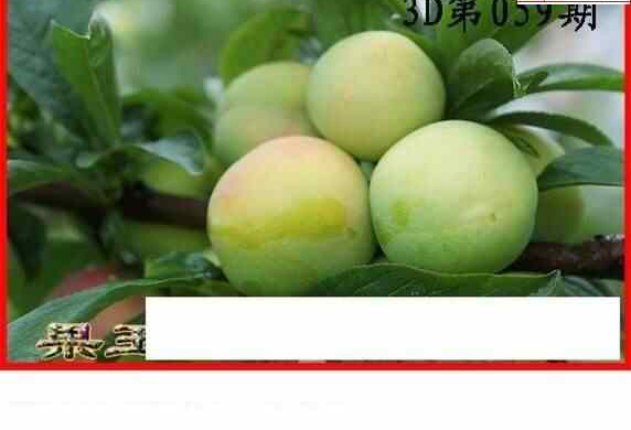 25059��: ����3Dɱ��ͼ��