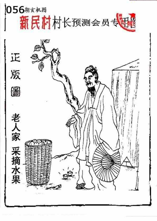 25056期: 老村长福彩3D天天图谜