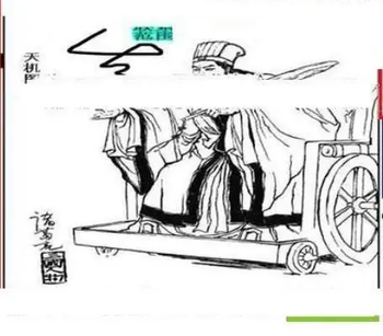 26059期: 三毛3D精品图谜