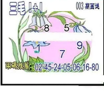 26003期: 三毛3D精品图谜