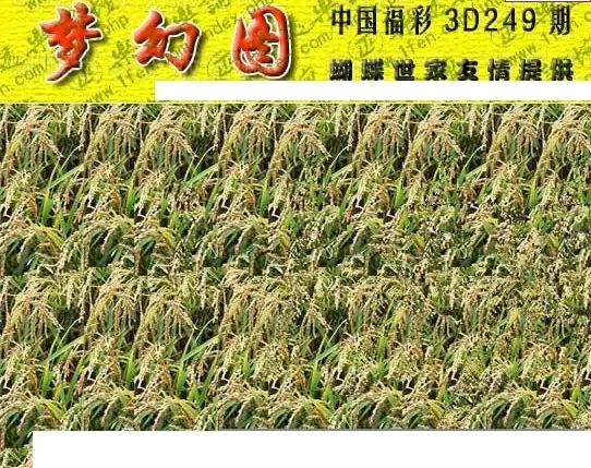 25249期: 3D蝴蝶世家蝴蝶彩图