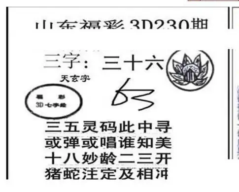 25230期: 三毛3D精品图谜