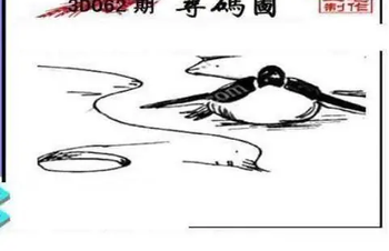 26062期: 三毛3D精品图谜