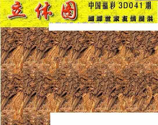 25041期: 3D蝴蝶世家蝴蝶彩图