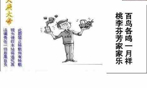 24136期: 白老3D杀码图版