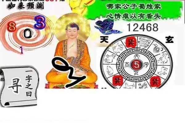 25087期: 白老3D杀码图版