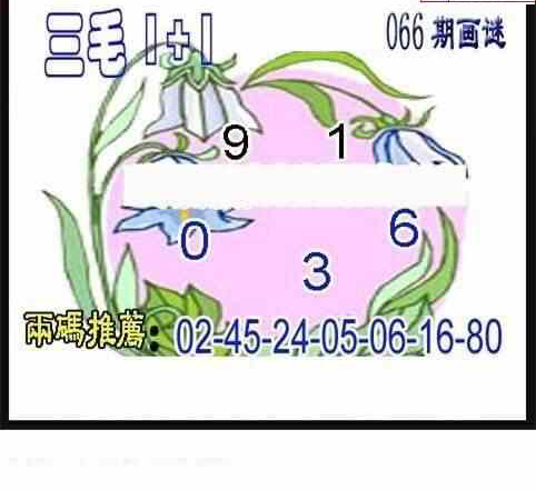 24066期: 三毛3D精品图谜