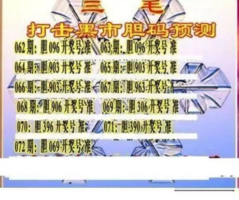 26072期: 三毛3D精品图谜