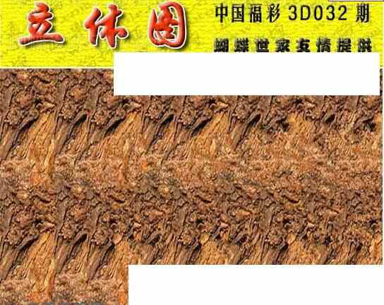 25032期: 3D蝴蝶世家蝴蝶彩图