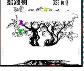 25323期: 三毛3D精品图谜