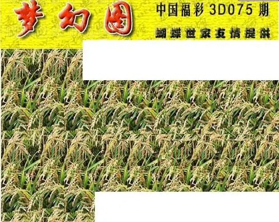 25075期: 3D蝴蝶世家蝴蝶彩图