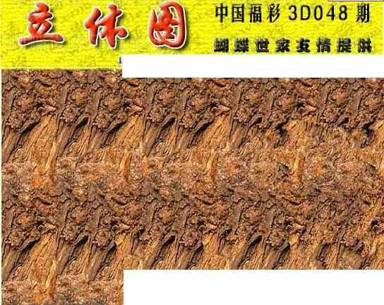 25048期: 3D蝴蝶世家蝴蝶彩图