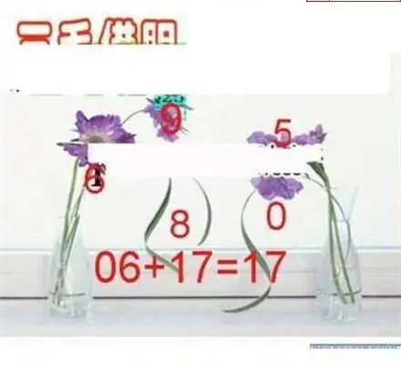 25273期: 三毛3D精品图谜