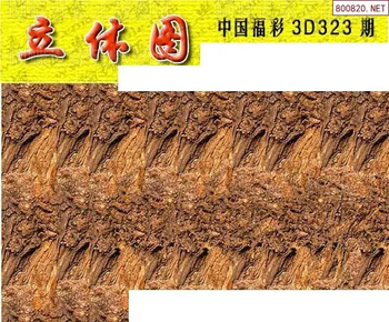 25323期: 3D蝴蝶世家蝴蝶彩图