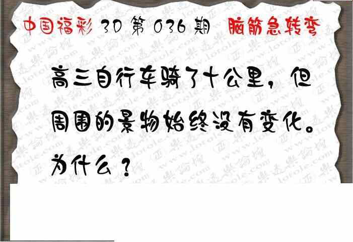 25036期: 3D蝴蝶世家蝴蝶彩图