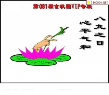 福彩3D 26081期佐罗图一掌经预测图