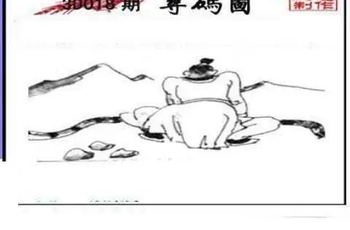 26018期: 三毛3D精品图谜