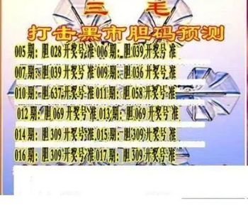 26017期: 三毛3D精品图谜