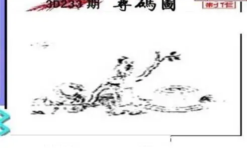 25233期: 三毛3D精品图谜