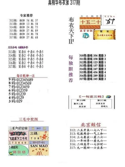 25317期: 福彩3D全套图版参考