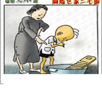 25349期: 3D蝴蝶世家蝴蝶彩图