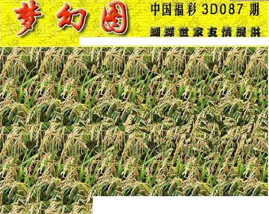 25087期: 3D蝴蝶世家蝴蝶彩图