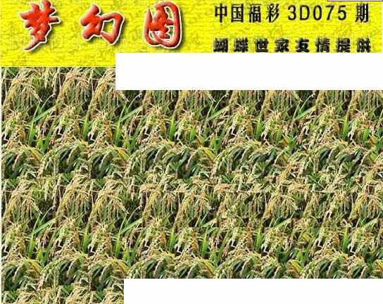 24075期: 3D蝴蝶世家蝴蝶彩图