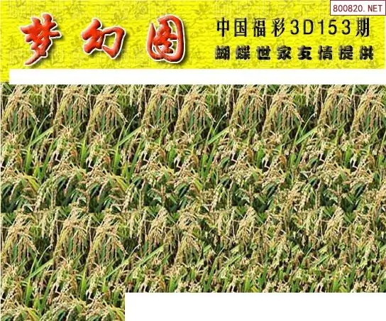 25153��: 3D�������Һ�����ͼ