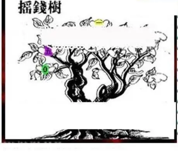 26078期: 三毛3D精品图谜