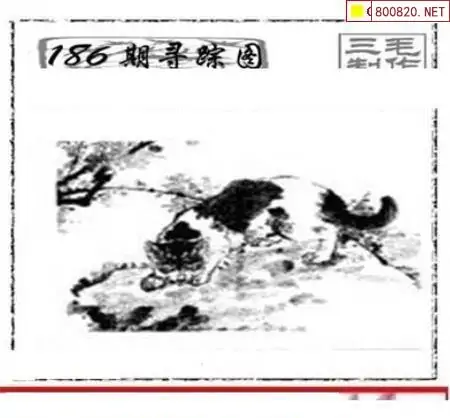 25186期: 三毛3D精品图谜