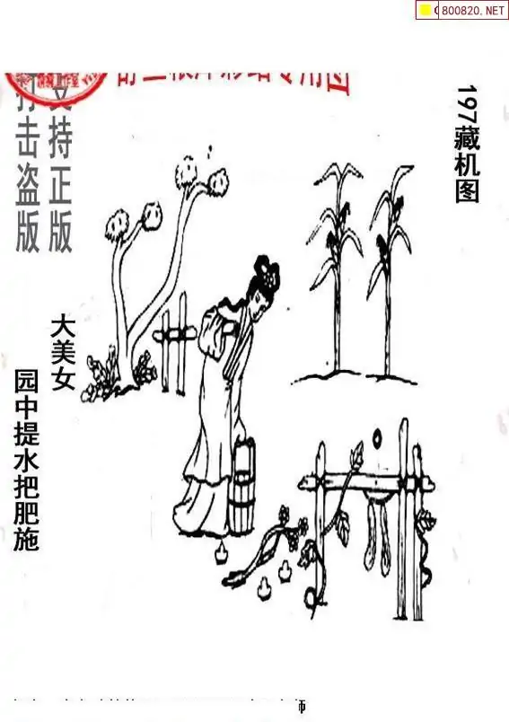 25197期: 老村长福彩3D天天图谜