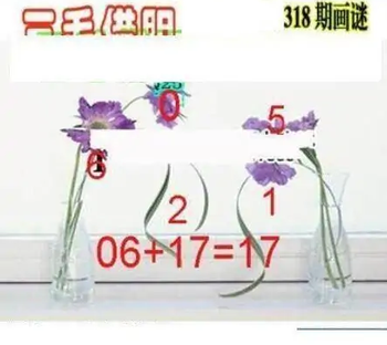 25318期: 三毛3D精品图谜