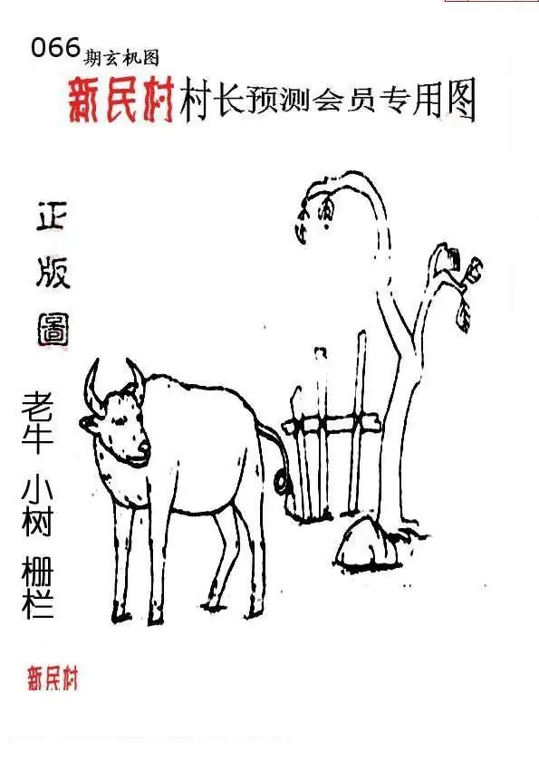 25066期: 老村长福彩3D天天图谜