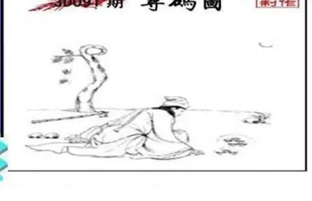 26091期: 三毛3D精品图谜