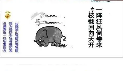 25271期: 白老3D杀码图版