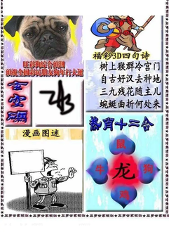 福彩3D 26075期佐罗图一掌经预测图