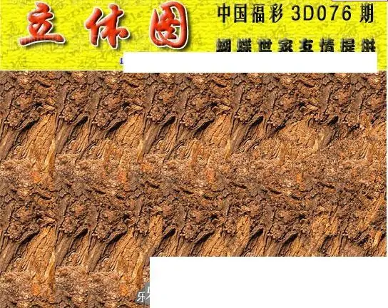 25076期: 3D蝴蝶世家蝴蝶彩图