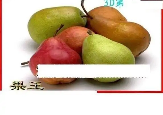 25115期: 白老3D杀码图版