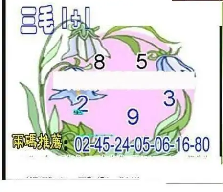 25086期: 三毛3D精品图谜