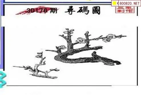 25176期: 三毛3D精品图谜