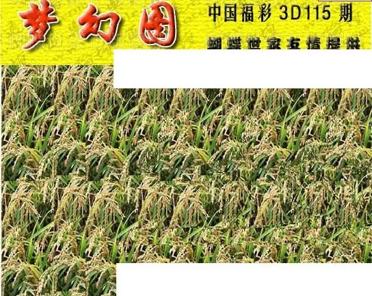 25115期: 3D蝴蝶世家蝴蝶彩图