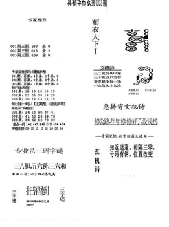 26003期: 福彩3D全套图版参考