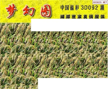 26092期: 3D蝴蝶世家蝴蝶彩图