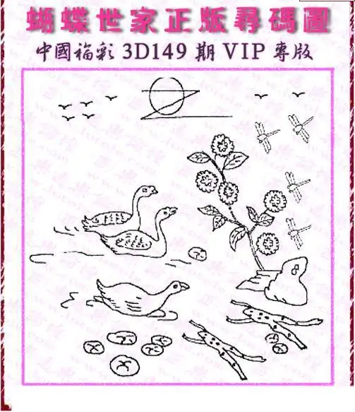 25149期: 3D蝴蝶世家蝴蝶彩图