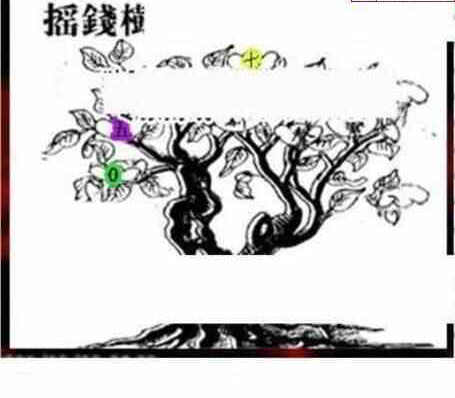 24092期: 三毛3D精品图谜