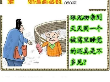 26020期: 福彩3D丹东全图分析