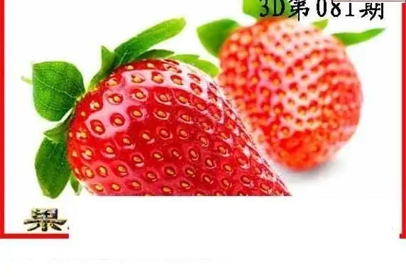 25081期: 白老3D杀码图版